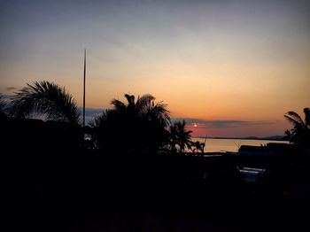 Silhouette palm trees at sunset