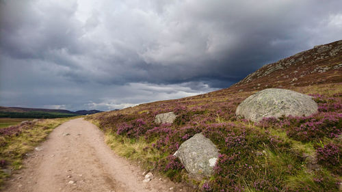 Road amidst field against sky