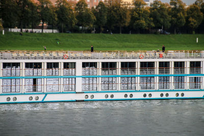 Graffiti on tree by water