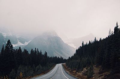 Panoramic view of road amidst trees against sky