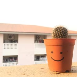 Potted cactus plant with anthropomorphic smiley face on retaining wall