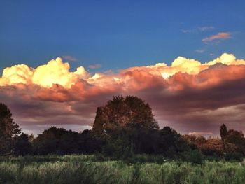 Scenic view of field against cloudy sky