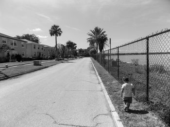 Rear view of man walking on road along trees