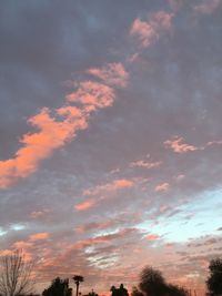 Low angle view of trees against sky