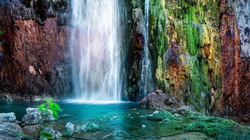 Scenic view of waterfall in forest