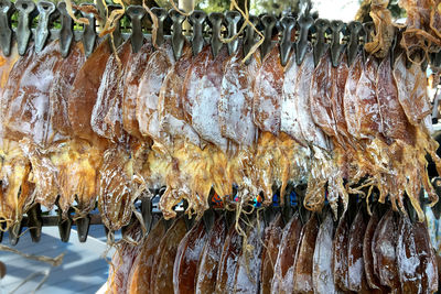 Dried squids hanging on rack, ready to be grilled