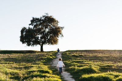 Back view of unrecognizable little boy and girl with ukulele guitar walking on green field and enjoying sunny summer day in countryside