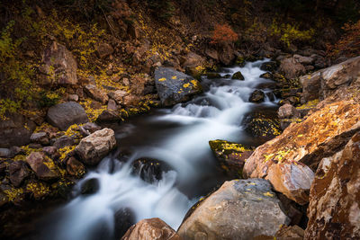 Stream flowing through rocks in forest