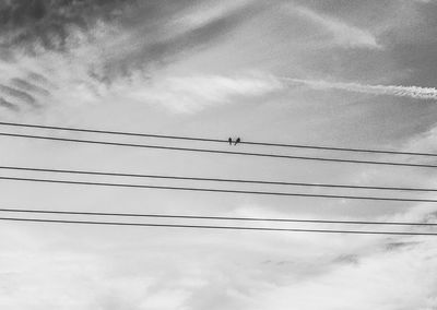 Low angle view of power lines against sky