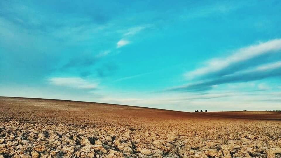 Gog Magog Hills