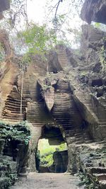 Plants growing on rocks
