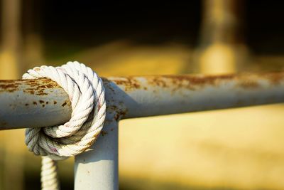 Close-up of rope tied to rusty metal