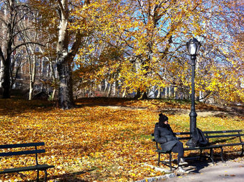 Man sitting on bench in park during autumn