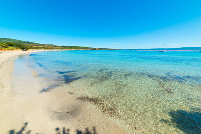 Scenic view of beach against clear blue sky