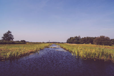 Scenic view of canal amidst trees against sky