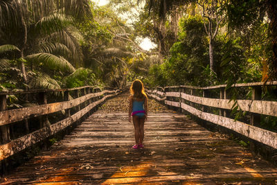 Rear view of woman walking on footpath amidst trees