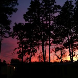 Low angle view of silhouette trees against sky at night