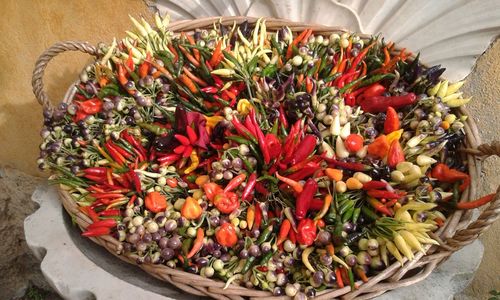Close-up of red flowers