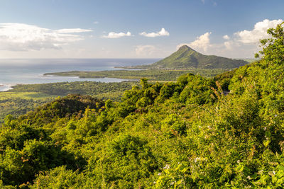 Panoramic overview on the wonderful landscape near chamarel on mauritius island, indian ocean