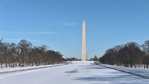 Bare trees on snow covered landscape