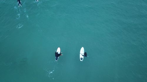 High angle view of people surfing in sea