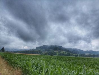 Scenic view of field against cloudy sky