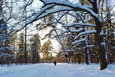 Man walking on snow covered land