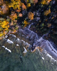 Aerial view of seashore during autumn