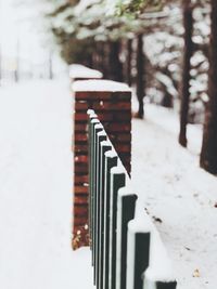 Close-up of snow on footpath