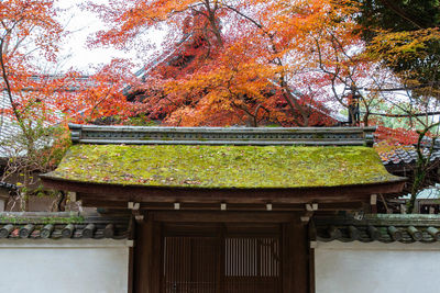 Low angle view of temple