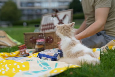 Midsection of person with cat on table