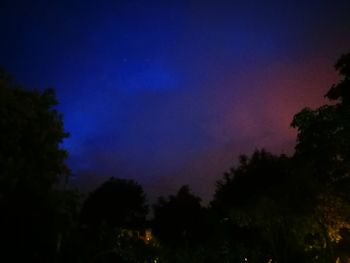 Low angle view of silhouette trees against sky at night