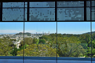 Trees seen through window