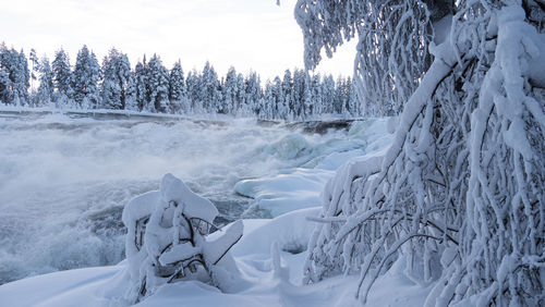 Magic winter waterfall storforsen, north of sweden in winter