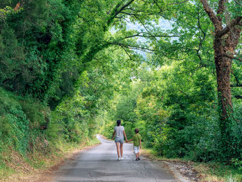 Rear view of people walking on road amidst trees