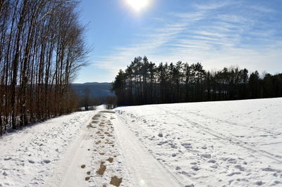 Snow covered land and trees against sky during winter