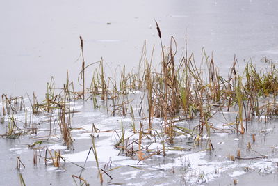 High angle view of frozen lake