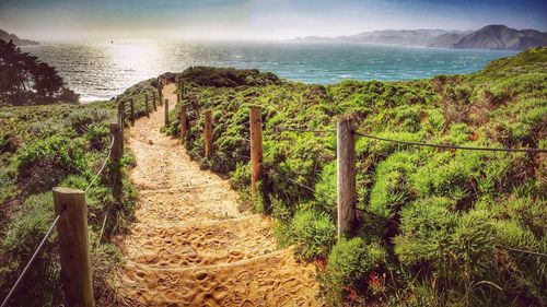 Footpath leading to sea