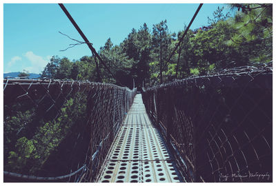 Footbridge leading towards trees