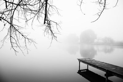 Bare tree by lake against sky