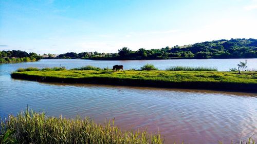 Scenic view of lake against sky