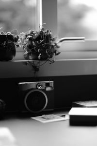 Close-up of potted plant on table