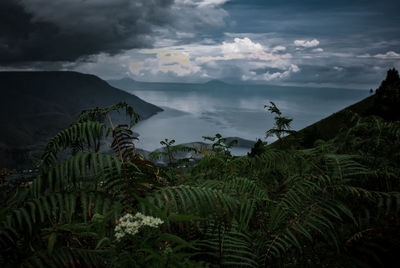 Scenic view of landscape against sky