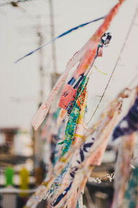 Close-up of ropes hanging on rope