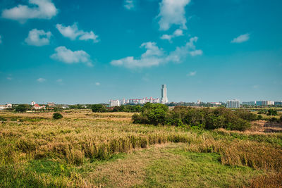 Scenic view of agricultural field against sky