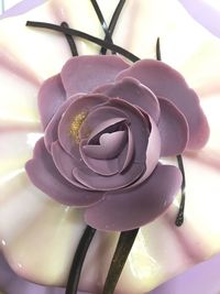 Close-up of pink flower