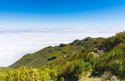 Scenic view of landscape against sky