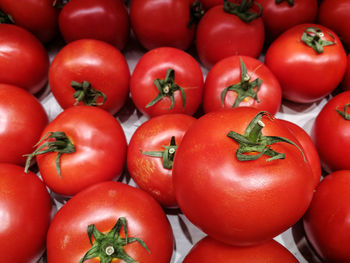 Close-up of tomatoes for sale in market