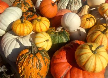 Close-up of pumpkins for sale at market stall