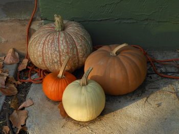 High angle view of pumpkin